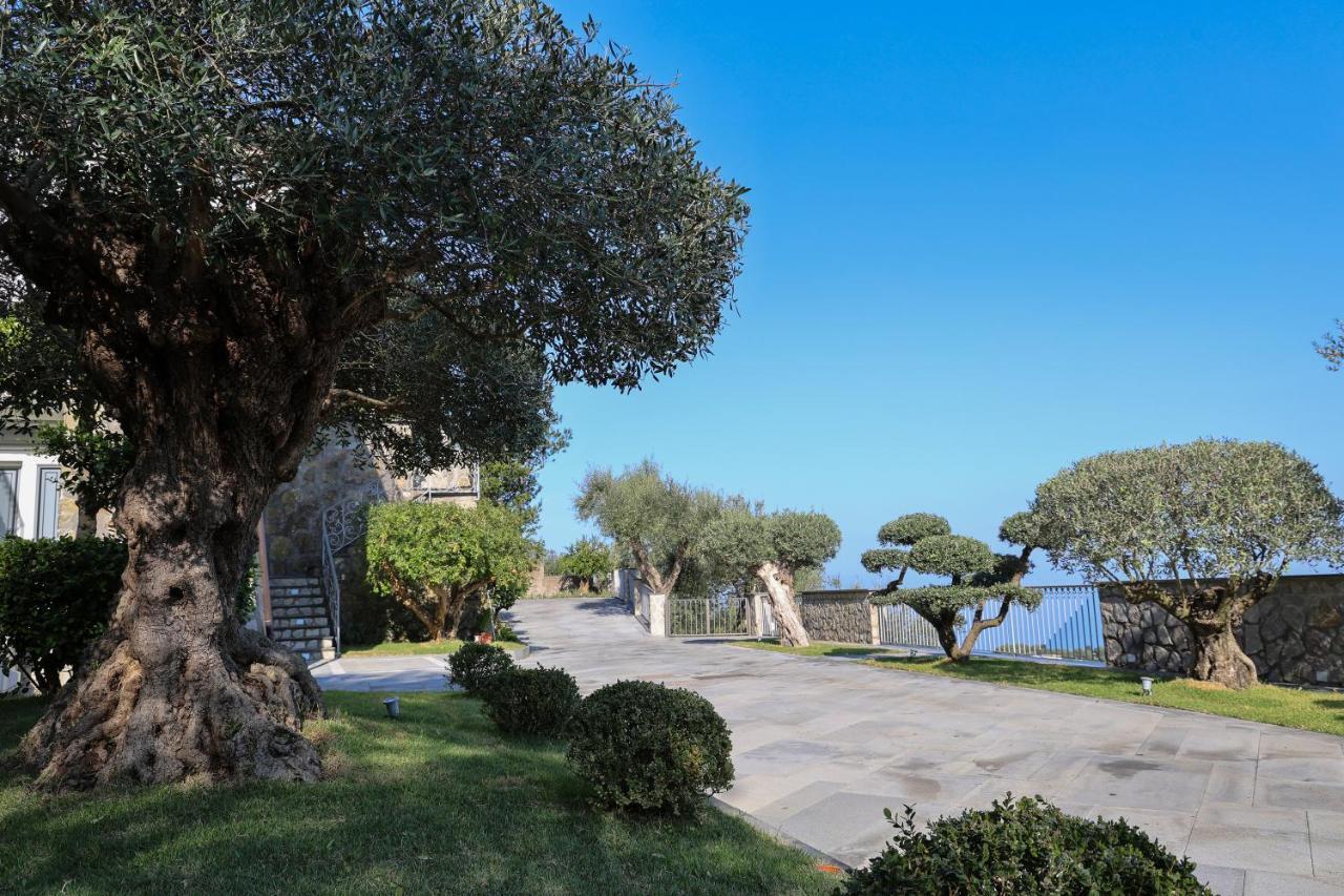 Villa Italia Sorrento Termini Экстерьер фото